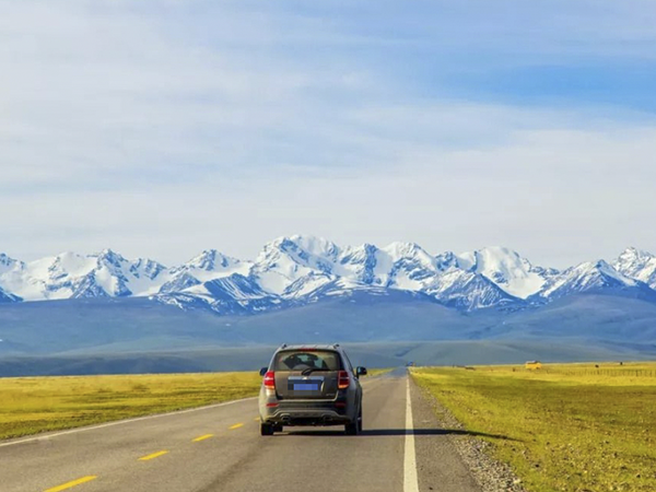 �����⳵�绰