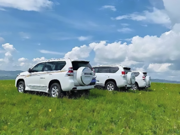 �����⳵��˾